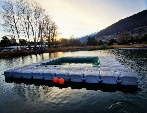 Sierre – Gouille des Bouses – Nasse flottante